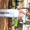 Alex Masseur - masseur in Nairobi Photo 1 of 4