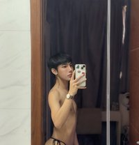 Alex New Thailand in Bahrain 🇧🇭 - Acompañantes transexual in Al Manama