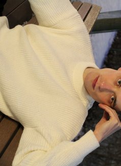 Alex - Acompañantes masculino in Yerevan Photo 15 of 23