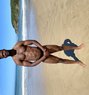 Alex - Acompañantes masculino in Cape Town Photo 1 of 1