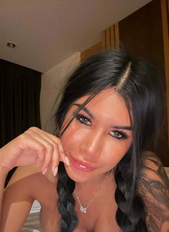 Alex - escort in Phuket Photo 16 of 16