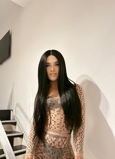 Alexa Asian Cd - Acompañantes transexual in Singapore Photo 5 of 6