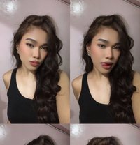 Alexa - Transsexual escort in Makati City