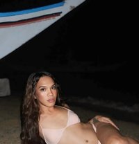 Alexa - Acompañantes transexual in Boracay