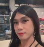 Alexa - Transsexual escort in Bali Photo 1 of 3