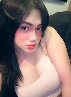 Alexa is for hire - Transsexual escort in Manila Photo 7 of 8