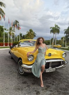 Alexa 🇷🇺Live - escort in Pattaya Photo 11 of 17