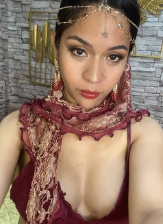 Alexa Marie - Transsexual escort in Manila Photo 17 of 22