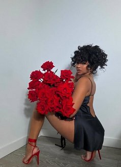 Alexa. New Bitch in the Town - escort in Ahmedabad Photo 4 of 5