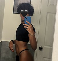 Alexi Cox - Transsexual escort in Colombo