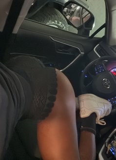 Alexi Cox - Transsexual escort in Colombo Photo 15 of 19