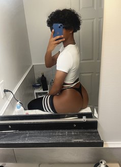 Alexi Cox - Transsexual escort in Colombo Photo 18 of 19