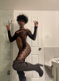 Alexi Cox - Transsexual escort in Colombo Photo 1 of 17
