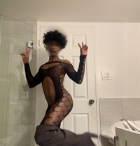 Alexi Cox - Transsexual escort in Colombo