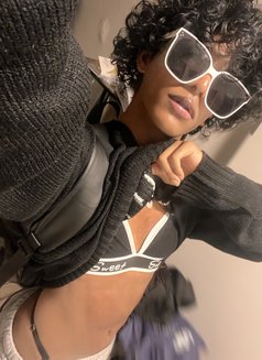 Alexi Cox - Transsexual escort in Colombo Photo 2 of 17