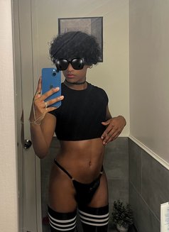 Alexi Cox - Transsexual escort in Colombo Photo 20 of 30