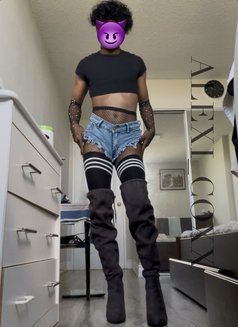 Alexi Cox - Transsexual escort in Colombo Photo 30 of 30