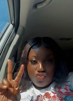 Alexis - escort in Amman Photo 1 of 1