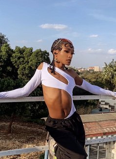 Alexis Femboy - Transsexual escort in Nairobi Photo 1 of 3