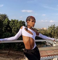 Alexis Femboy - Transsexual escort in Nairobi