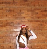 Alexis Femboy - Transsexual escort in Nairobi