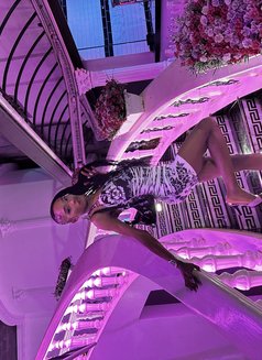 Alexis Femboy - Acompañantes masculino in Nairobi Photo 3 of 5