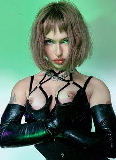 Alexis - Acompañantes transexual in Paris Photo 10 of 11