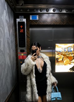 Aleyna 🇹🇷 - Acompañantes transexual in Baku Photo 12 of 12