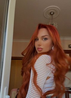 Aleyna Türkçe - escort in Baku Photo 3 of 13