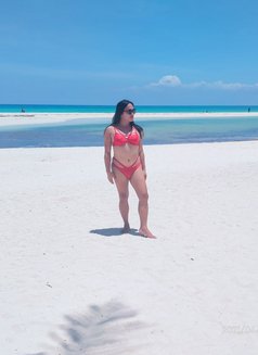 Alfiekate - Transsexual escort in Cebu City Photo 1 of 10