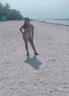 Alfiekate - Transsexual escort in Cebu City Photo 6 of 10