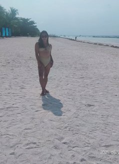 Alfiekate - Transsexual escort in Cebu City Photo 8 of 10