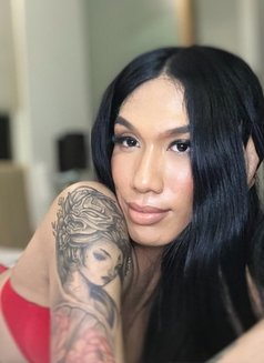 Ali Channel 🧿 - Transsexual escort in Angeles City Photo 16 of 18