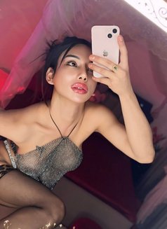 Ali KettyWeni - Transsexual escort in New Delhi Photo 21 of 22