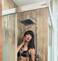 Aliye - Acompañantes transexual in İstanbul