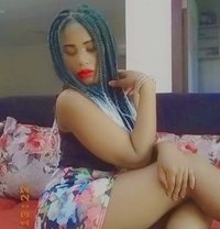 Aliana - escort in Şalālah