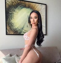Alice best service - Transsexual escort in Dubai