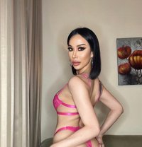 Big cum 6.5 inch - Transsexual escort in Dubai Photo 17 of 29