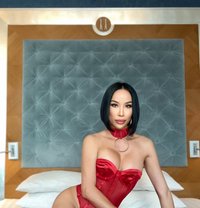 🧚🏻Alice big cum🧚🏻 - Transsexual escort in Dubai