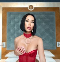 🧚🏻Alice big cum🧚🏻 - Acompañantes transexual in Dubai Photo 1 of 30