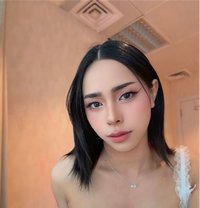 Alice Both 6 Inch Thailand - Acompañantes transexual in Abu Dhabi