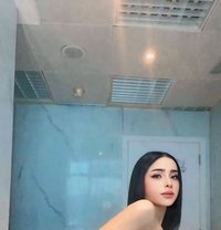 Alice Both 6 Inch Thailand - Transsexual escort in Abu Dhabi