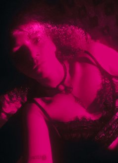 Alice - escort in Melbourne Photo 11 of 13