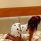 Alice - escort in Chandigarh Photo 2 of 5