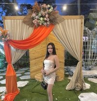 Alice - Transsexual escort in Cebu City