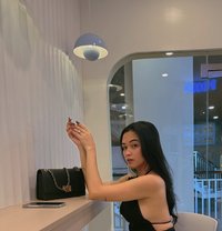 Alice - Transsexual escort in Davao