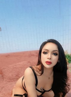 Alice hot and sexy happy sure - Acompañantes transexual in Muscat Photo 14 of 20