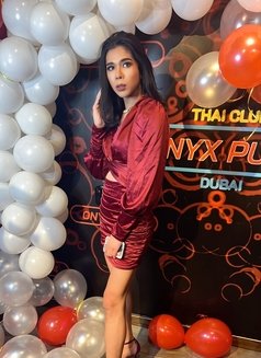 Ladyboy. Top. In Thailand - Transsexual escort in Bangkok Photo 7 of 9