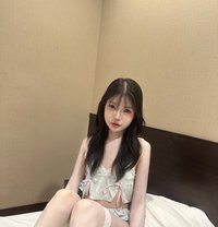 Alice Labubu - Transsexual escort in Kaohsiung