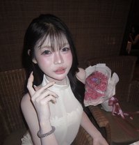 Alice Labubu - Transsexual escort in Kaohsiung
